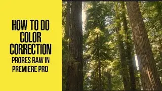 How to Do Color Correction ProRes Raw in Premiere Pro - Natural + Cinematic