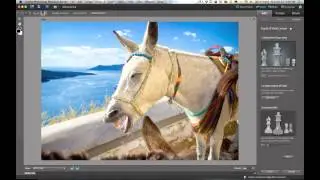 Focus on Your Subject and Blur the Background with Photoshop Elements 11