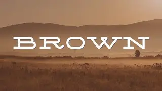 Earthy, Stable, Reliable: Meet Brown! (Color Meaning Video)