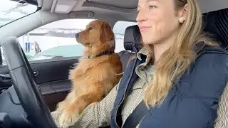 When your dog chooses to believe in you 😄 Funny Dog and Human Video 2024