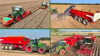 Busy Harvest day at Franzen Farms | Windrowing & Loading Onions - Lifting Potato's and Sugar Beet