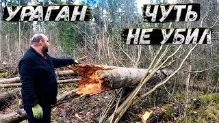 Ураган чуть не накрыл | ЛЕСНОЙ ДОМ | ИЗБА | FOREST HOUSE | DUGOUT | HUT