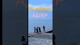 #адлер