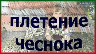 Плетение ЧЕСНОКА в венок и косу. Способы хранения чеснока. Как сохранить чеснок в зиму.