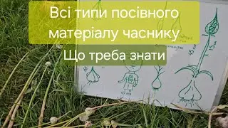 Всі типи посадкового матеріалу часнику  інформація яку треба знати і розуміти щоб займатися часником