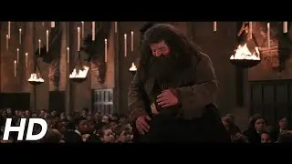 'There's no Hogwarts without you, Hagrid' | Harry Potter and the Chamber of Secrets