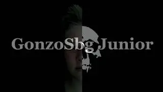 Tobi hat jetzt auch einen YouTube Kanal GonzoSbg Junior