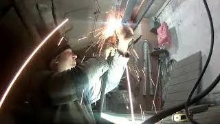 Лечим царя зверей