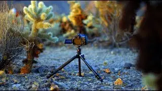 Manfrotto Befree Advanced Travel - штатив для путешествий