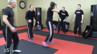 Beginner Krav Maga Complete 30 Minute Class (Warm Up, Drills, Practice)