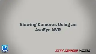 Viewing Cameras Using an AvaEye NVR