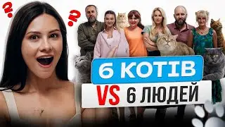 Кому належить цей котик?  | ІДЕНТИФІКАЦІЯ #30 | Валерія Андріївна (ПЕРЕПРОШУЮ)