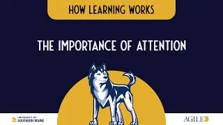 The Importance of Attention