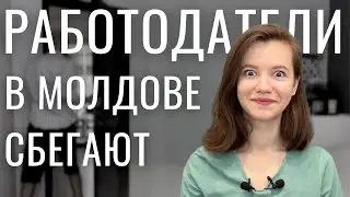 Как найти работу в Молдове гражданам РФ для ВНЖ? Вся правда о работодателях.