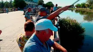 лов Лобана  рыбалка в Анапе на местной реке видео welcometoanapa.ru
