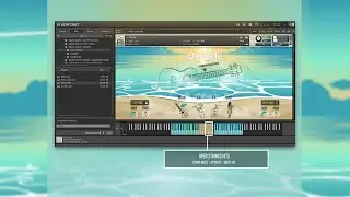 Splash Sound - Ukulele KONTAKT Library - Fast Walkthrough