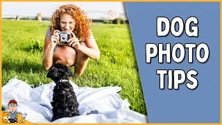 Capturing Your Dog's True Personality: Pro Photographer's Top Preparation Tips