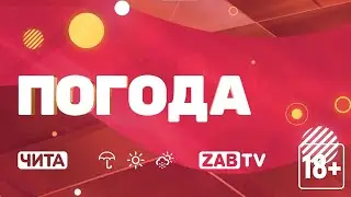 Прогноз погоды на 12 сентября 2024 года