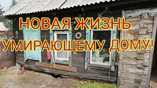 Подъём дома, замена венцов вкруг , выравнивание "пуза".