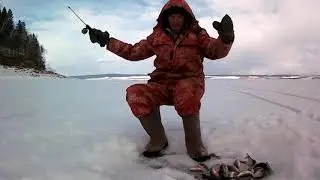 Ловля окуня не снимая рукавиц на Братском водохранилище