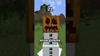 Guess the Minecraft mob in 60 seconds 73
