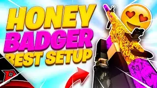 The BEST HONEY BADGER SETUP in Phantom Forces (Roblox)