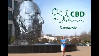 The Ultimate Guide to CBD