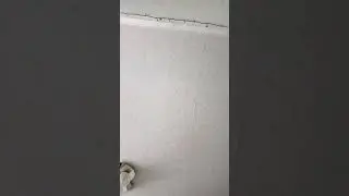 кек