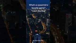 What’s sysadmin’s favourite 😻 game ? Catch the 🐞 Bug