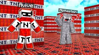 DAS BESTE OP VERSTECK! TNT HIDE AND SEEK in Minecraft