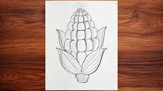 How to draw corn | easy pencil sketch