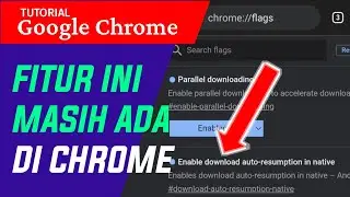 this feature is still there!! how to resume downloading in chrome