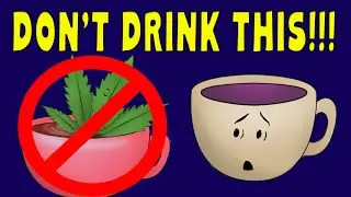 Are you drinking tea wrong? Live stream & Shoutouts