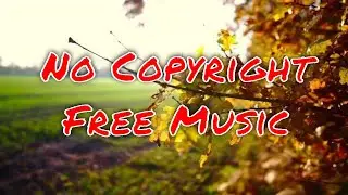 Royalty Free Music | Free Audio Library | No Copyright Music | Calm Background Music | Free Music