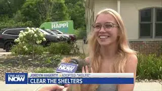 Over 100 Animals Adopted For Clear The Shelters