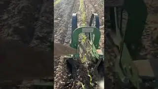 Everyone Needs This Garden Tool! 🌱