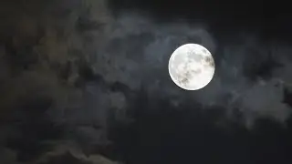 Live Full Flower Moon - Full Moon Meditation May 2024