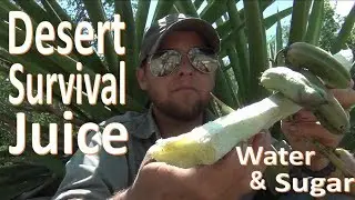 Survival Desert Sugar Water -Yucca Juice-