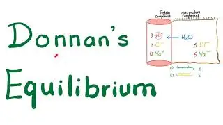 Donnan Equilibrium