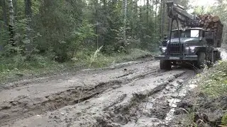 Дорога по болоту, горбыль спасает. Урал лесовоз.