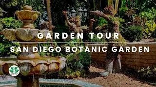 A Journey Through the San Diego Botanic Garden: A Tapestry of Nature's Wonders