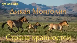 Nat Geo Wild. Дикая Монголия. Страна крайностей.