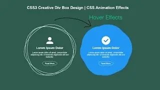 CSS3 Creative Div Box Design | Great CSS Box Animation | @Learndailyteam