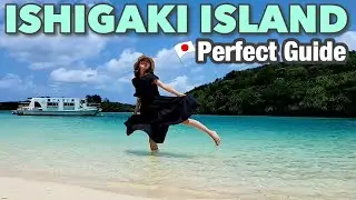 OKINAWA🇯🇵 How to tour Ishigaki Island by bus!! Japan vlog☆