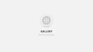 Gallery WordPress Plugin - Brief Overview