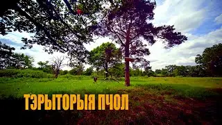 ТЕРРИТОРИЯ ПЧЕЛ | Документальный фильм | Трейлер