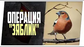 Операция "Зяблик" ➤ Базу по фану ➤ Мир танков.