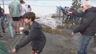 Hundreds of spectators flock to southern California beach for huge waves