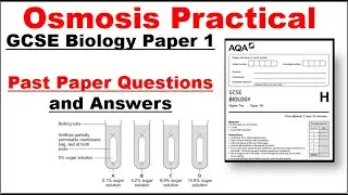 GCSE BIOLOGY PAPER 1 Osmosis Practical  Questions and Answers