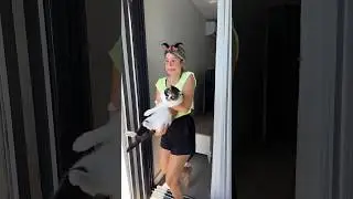 kimler kedisini getirmek ister? 😂❤️ 